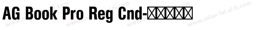 AG Book Pro Reg Cnd字体转换